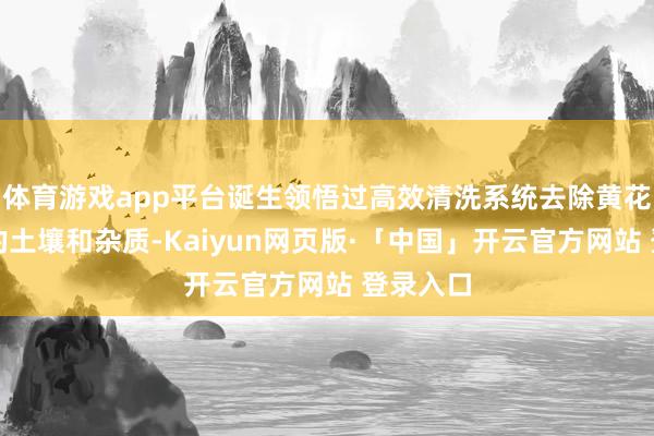 体育游戏app平台诞生领悟过高效清洗系统去除黄花菜名义的土壤和杂质-Kaiyun网页版·「中国」开云官方网站 登录入口