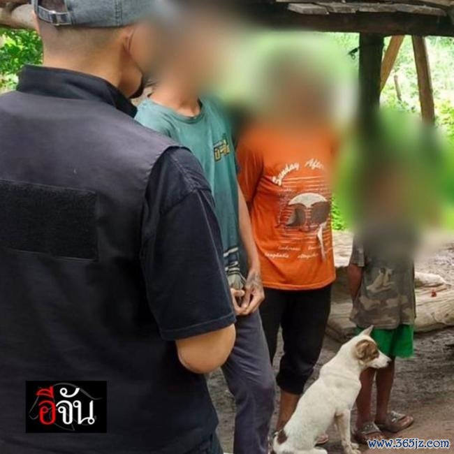 泰国男孩始终与狗群活命丧走嘴语才智 8岁“狗孩”获救