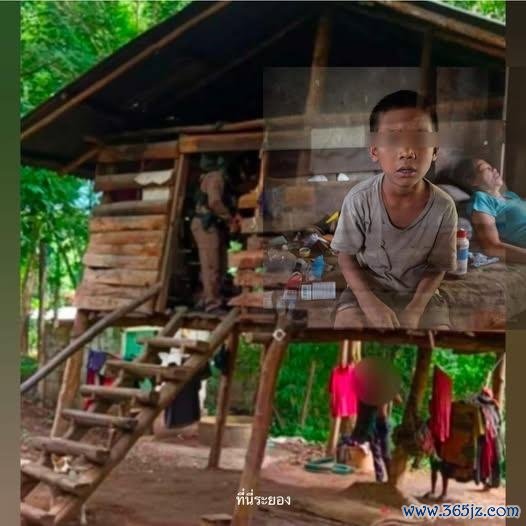 泰国男孩始终与狗群活命丧走嘴语才智